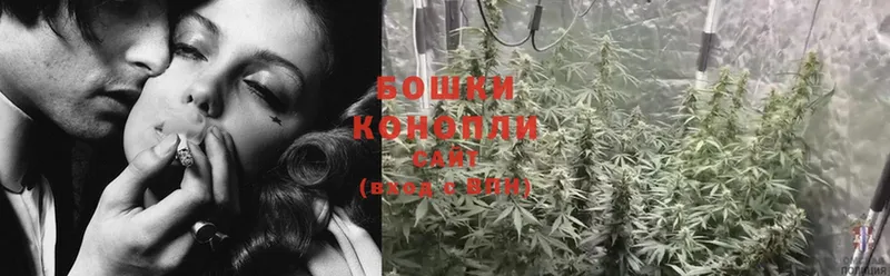 Каннабис SATIVA & INDICA  дарнет шоп  Химки 